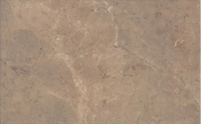 Мармион коричневый глянцевый 25x40x0,8