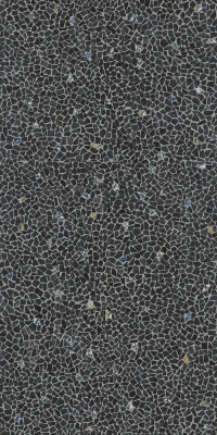 Палладиана черный декорированный лаппатированный обрезной 119,5x238,5x1,1